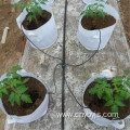 Branch pipe drip irrigator dripper